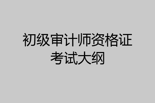 初级审计师资格证考试大纲