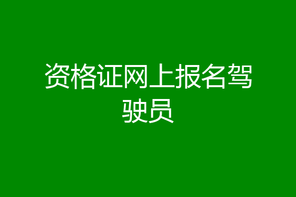资格证网上报名驾驶员