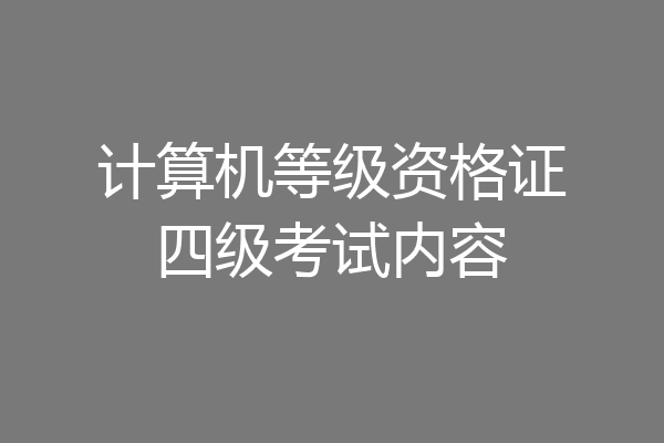 计算机等级资格证四级考试内容