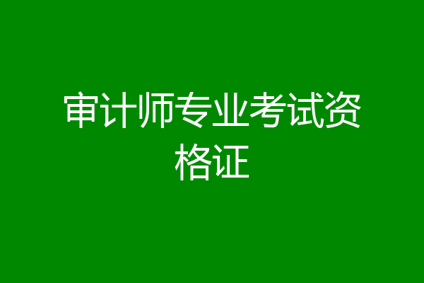 审计师专业考试资格证