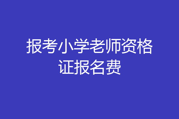 报考小学老师资格证报名费