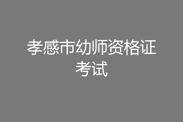 孝感市幼师资格证考试