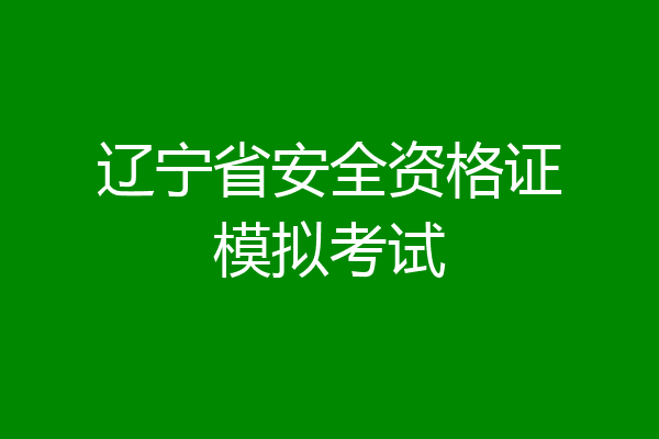 辽宁省安全资格证模拟考试