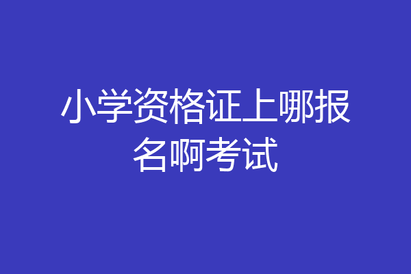 小学资格证上哪报名啊考试