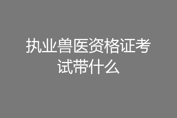 执业兽医资格证考试带什么