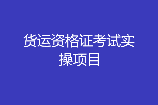 货运资格证考试实操项目
