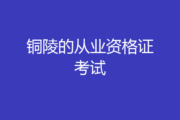 铜陵的从业资格证考试