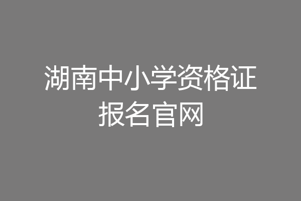 湖南中小学资格证报名官网