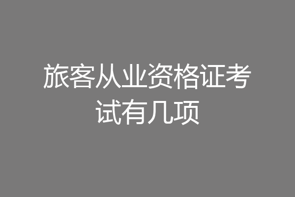 旅客从业资格证考试有几项