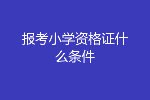 报考小学资格证什么条件
