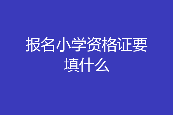报名小学资格证要填什么