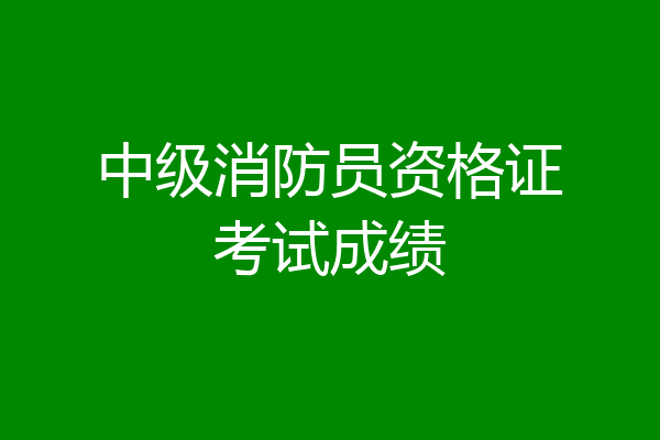 中级消防员资格证考试成绩