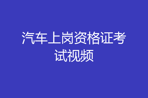 汽车上岗资格证考试视频