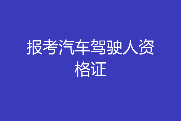 报考汽车驾驶人资格证