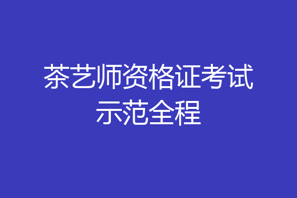 茶艺师资格证考试示范全程