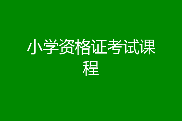 小学资格证考试课程
