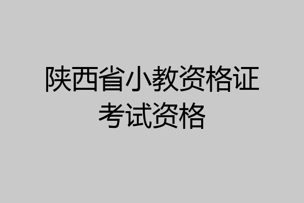 陕西省小教资格证考试资格