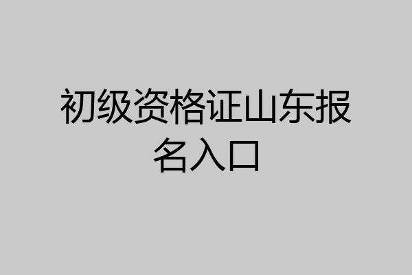 初级资格证山东报名入口