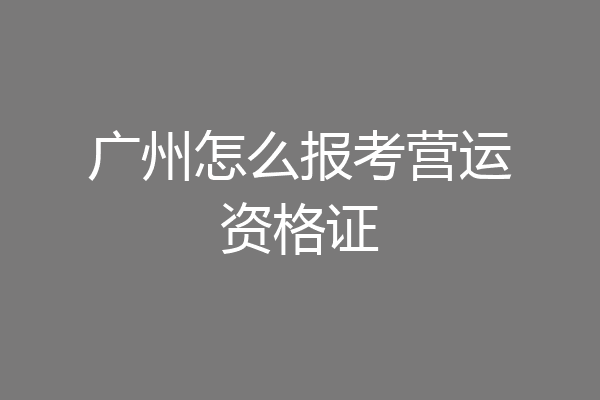 广州怎么报考营运资格证