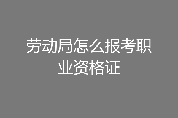 劳动局怎么报考职业资格证