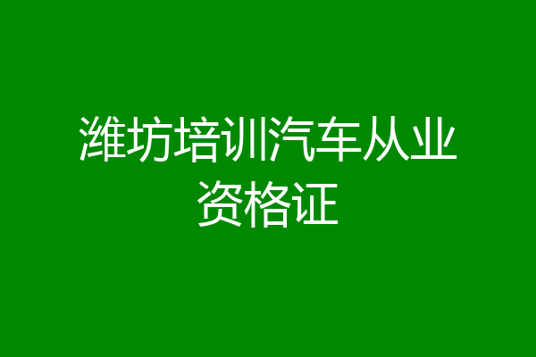 潍坊培训汽车从业资格证