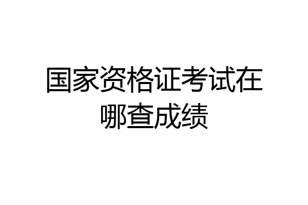 国家资格证考试在哪查成绩