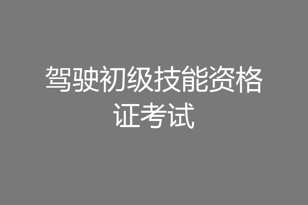驾驶初级技能资格证考试