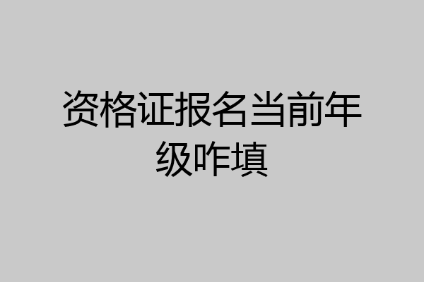 资格证报名当前年级咋填