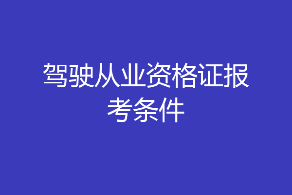 驾驶从业资格证报考条件