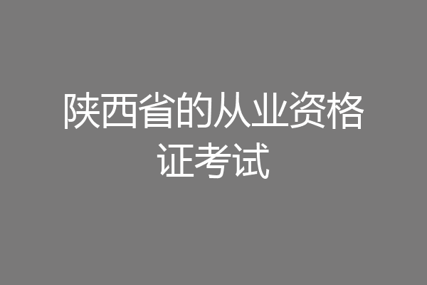 陕西省的从业资格证考试