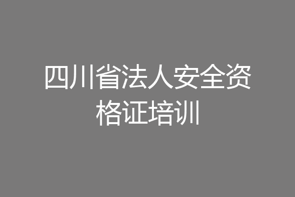 四川省法人安全资格证培训