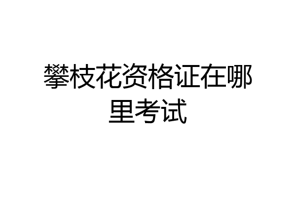 攀枝花资格证在哪里考试
