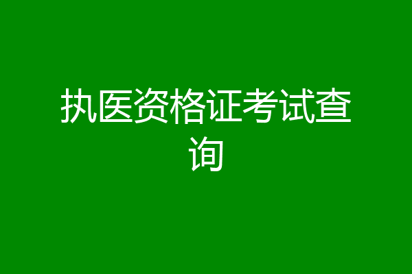 执医资格证考试查询