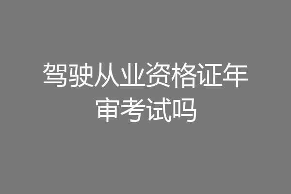 驾驶从业资格证年审考试吗