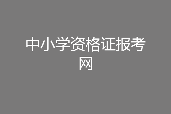中小学资格证报考网