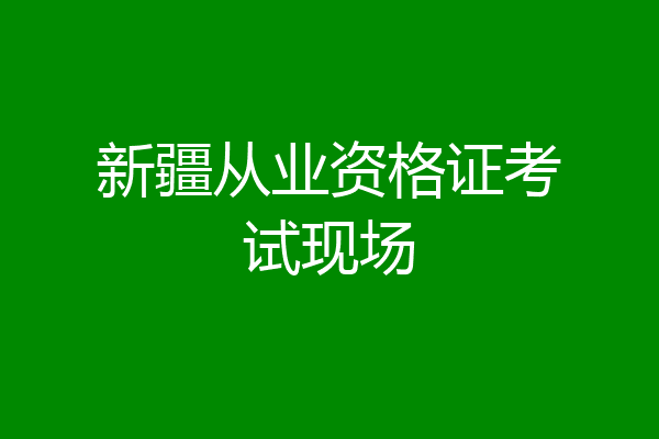 新疆从业资格证考试现场