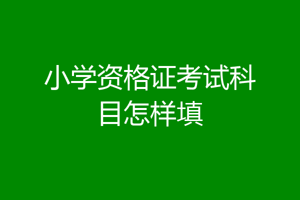 小学资格证考试科目怎样填
