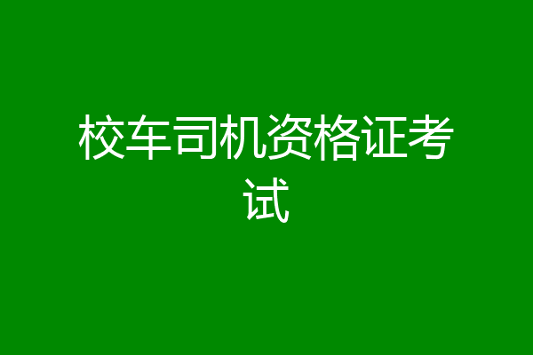 校车司机资格证考试