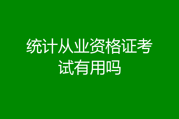 统计从业资格证考试有用吗