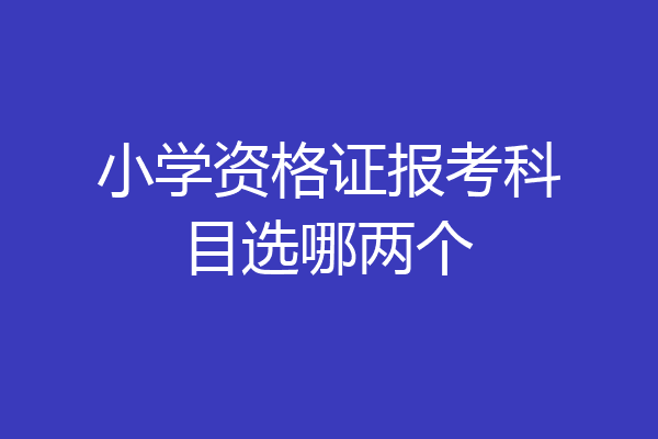 小学资格证报考科目选哪两个