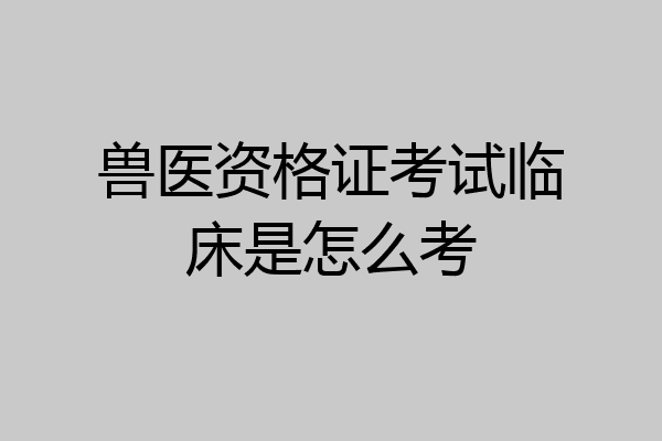 兽医资格证考试临床是怎么考