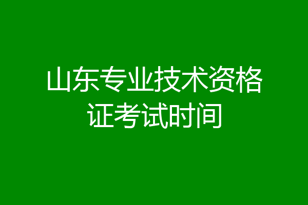 山东专业技术资格证考试时间