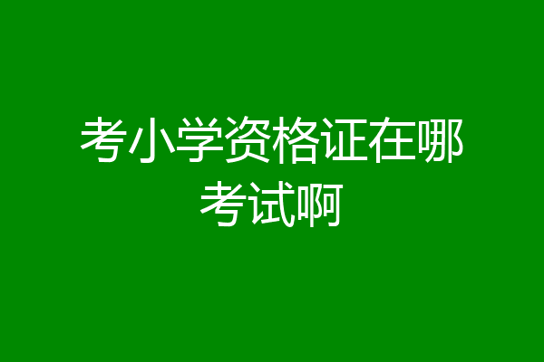 考小学资格证在哪考试啊
