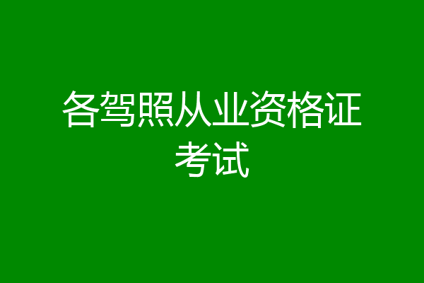 各驾照从业资格证考试