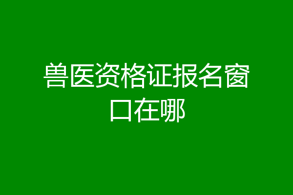 兽医资格证报名窗口在哪