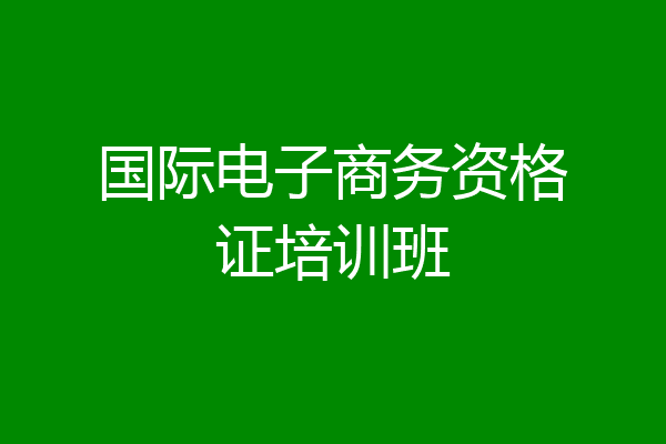 国际电子商务资格证培训班