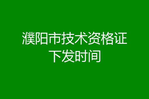 濮阳市技术资格证下发时间
