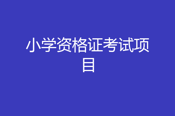小学资格证考试项目
