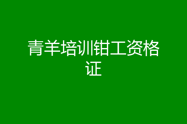 青羊培训钳工资格证