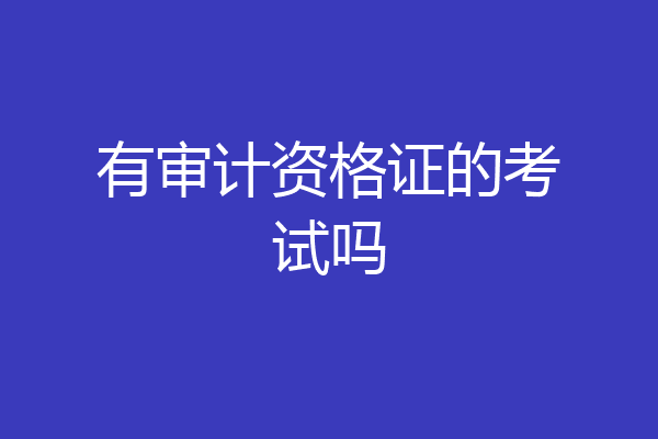 有审计资格证的考试吗